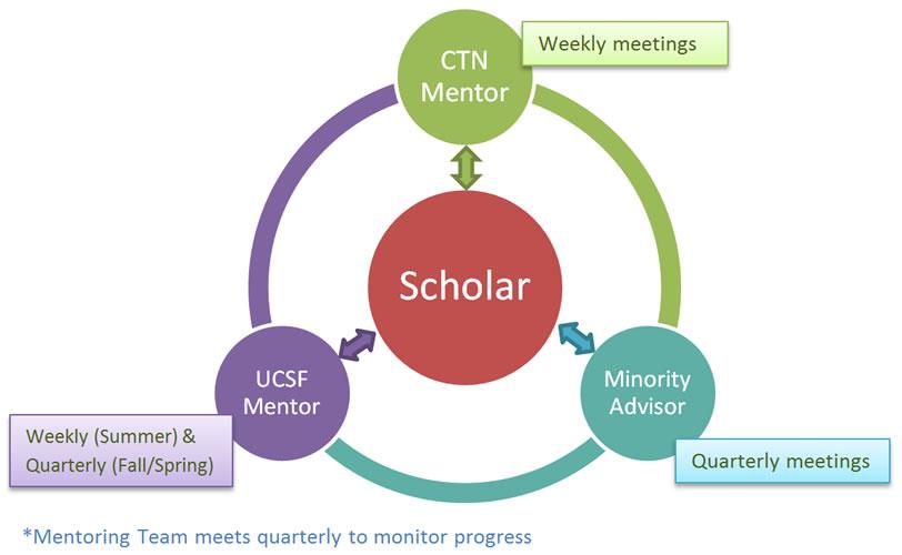 Mentoring flow graphic