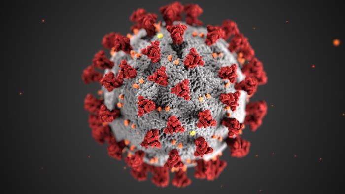 Coronavirus illustration