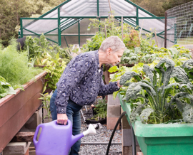 Woman working in a greenhouse