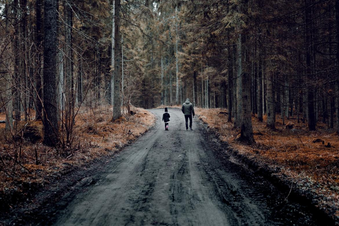 Child and adult walking in the forest