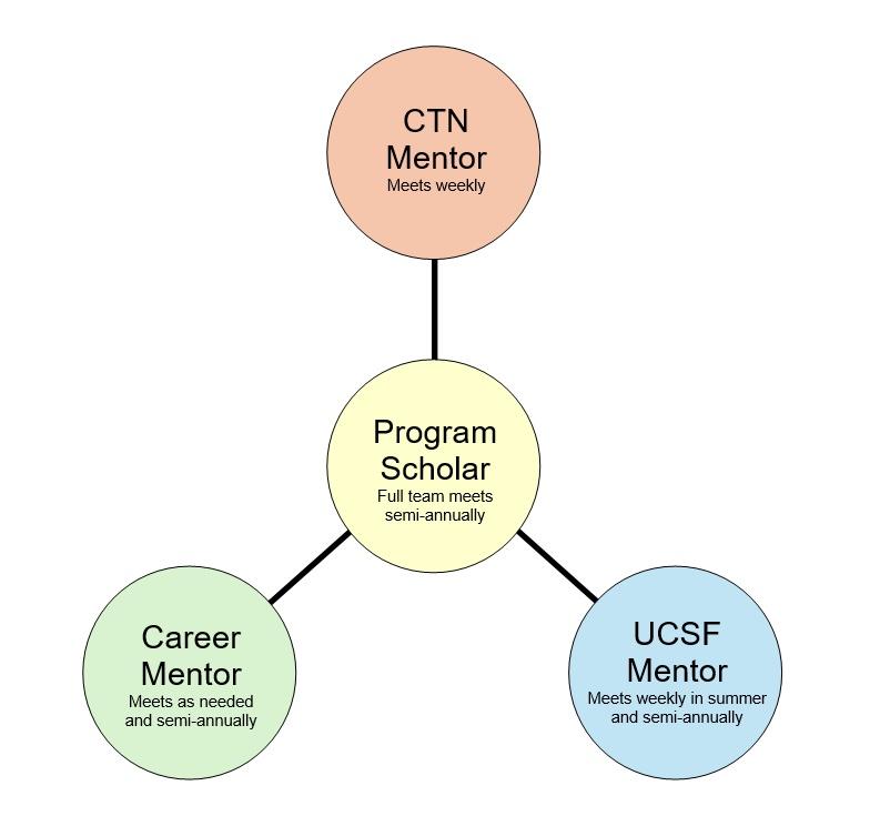 mentor ship diagram - Program scholar at the center full team meets semiannually, on top CTN Mentor meets weekly, to the bottom right UCSF mentor meets weekly in the summer and semi-annually, and to left career mentor meets as needed and semiannually.