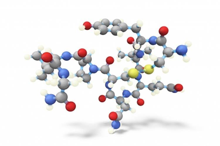 Oxytocin molecult