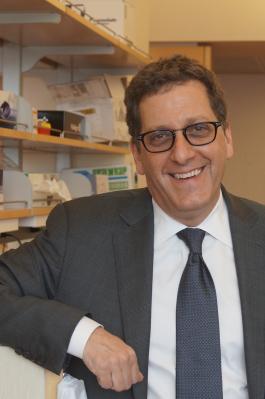Matthew W. State, MD, PhD