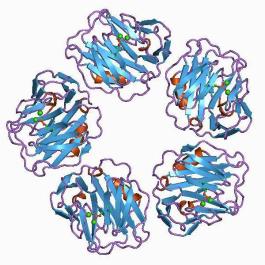 Digital representation of C-reactive protein 