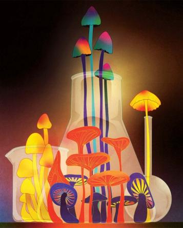 illustration of an assortment mushrooms and a beaker