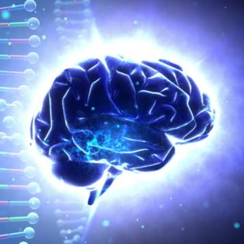 Brain and DNA illustration