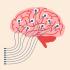 Illustration of a brain with electrodes attached to it